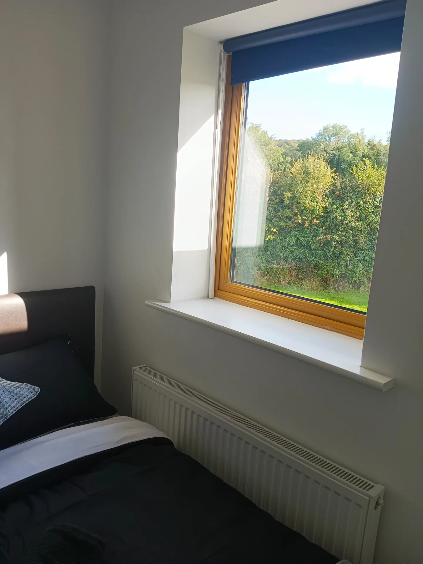 71 Cill Beg Manor, Stradbally, Co Laois - Unit 4